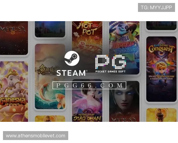 PG导航网为玩家打造一站式游戏资源平台满足你的所有游戏需求