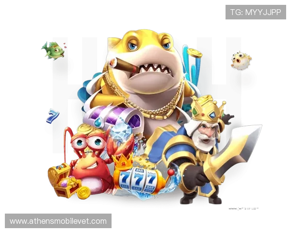 ng28南宫娱乐模拟器的技术支持与客户服务资源全面解读