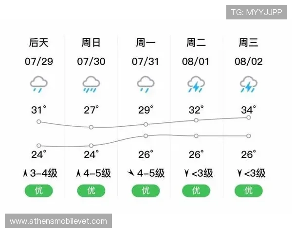 南宫28登录入口最新官方入口地址及安全登录指南推荐