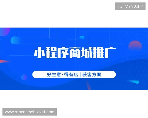 壹号app在南宫集团企业中的推广策略与市场反响分析