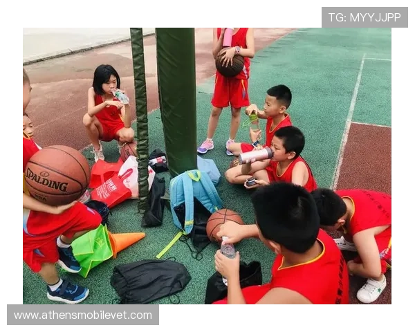 博盈体育安全可靠的投注体验与丰富的体育项目选择满足不同用户需求