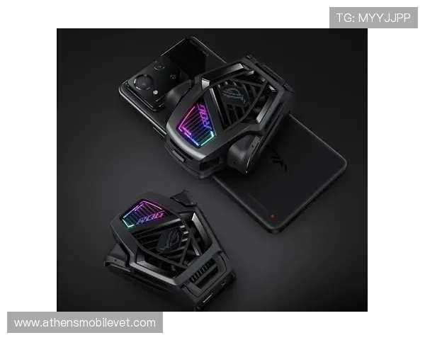 2024年最火爆的老虎机网站排行榜玩家真实体验与评价分析