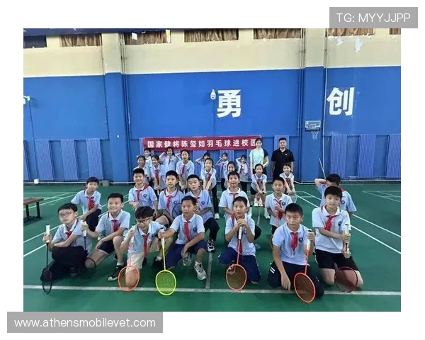 快鱼体育为青少年提供的多元化体育课程与成长支持措施