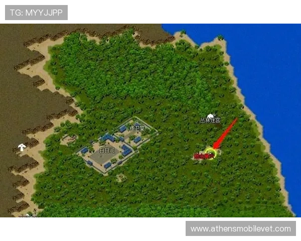 NG南宫国际版如何快速提升角色等级与装备获取攻略指南