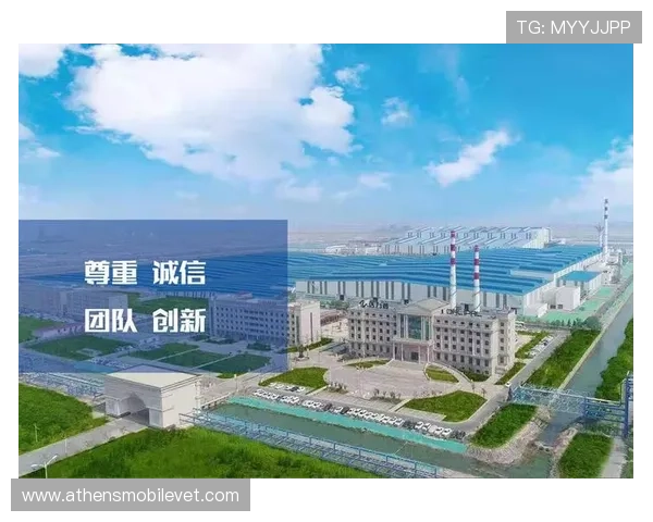 神殿集团企业文化与社会责任实践案例详解打造行业标杆企业