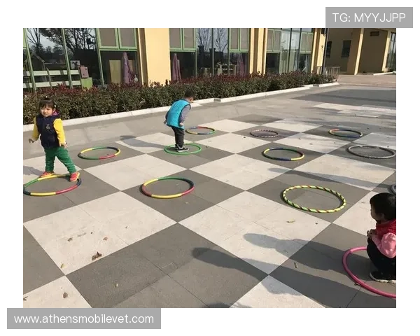 二八杠推筒子游戏常见问题解答与实用技巧帮助新手快速上手游戏