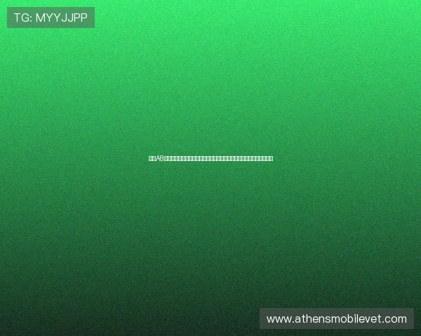 访问A8体育直播官网享受高清流畅的足球篮球赛事直播体验全面掌握比赛动态