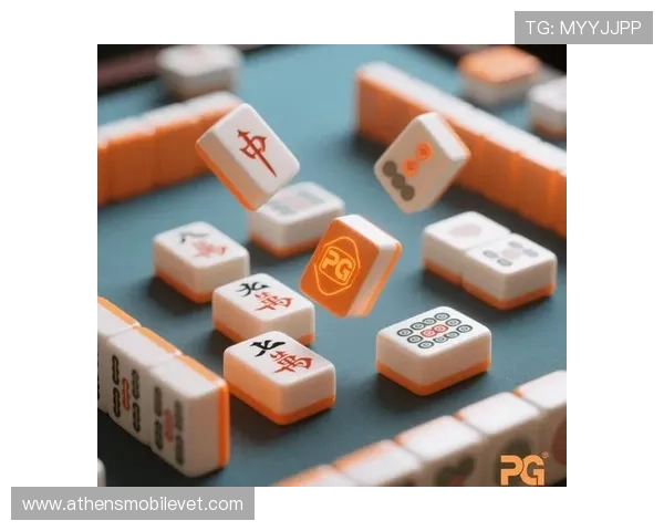 南宫28官网安全保障措施，保障玩家账号安全与游戏体验优化