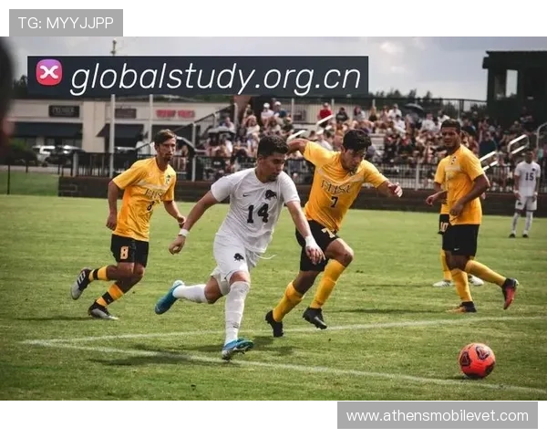 南宫体育app下载免费下载，提供丰富体育赛事直播和赛事资讯服务