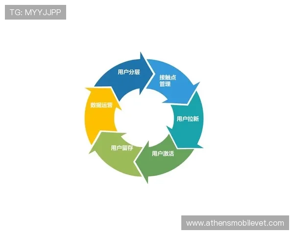 南宫体育网站多平台同步运营策略分析满足不同设备用户需求