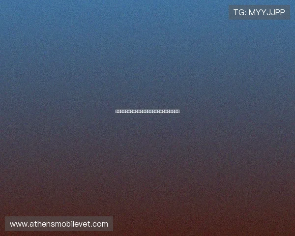 南宫注册中心最新政策解析：注册流程优化与用户权益保障