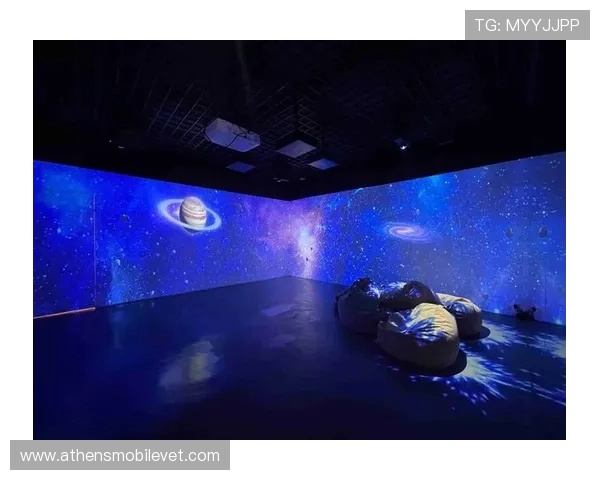 大连梭鱼湾体育场云参观为用户提供沉浸式虚拟体验，帮助你提前规划观赛行程与场馆参观路线