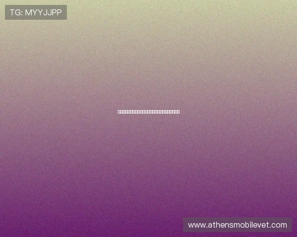 科特迪瓦对厄瓜多尔世界杯比赛双方实力对比与胜负预测