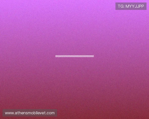 科特迪瓦对阵库拉索晋级形势分析：比赛中的关键战术与出线概率评估