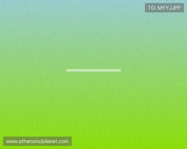金鲨银鲨老虎机最新优惠活动和充值返利政策详解助你获得更多实惠和奖励机会