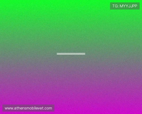 瑞典对突尼斯比赛中球员表现及关键战术亮点全面解析