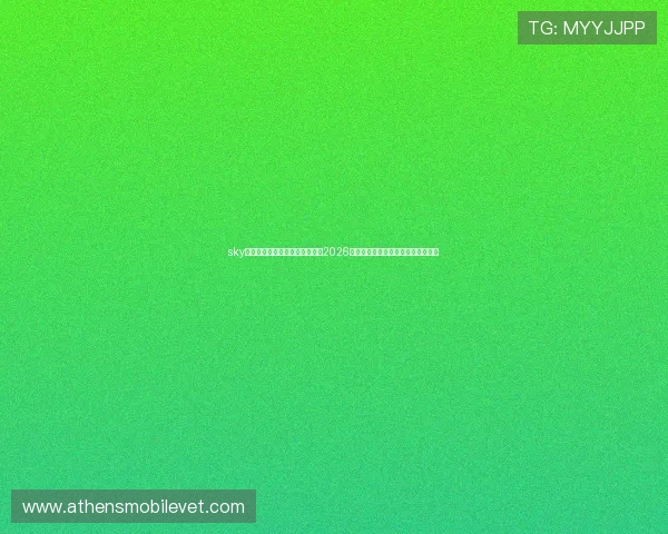 sky天空体育直播平台为足球迷呈现2026世界杯现场高清直播与专业赛事解说